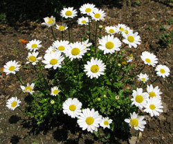 お知らせ　～2回目～