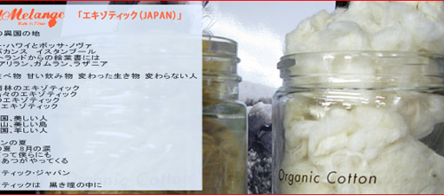 FilMelangeの特集、『JAMES 2010SS Ver.』アップ!