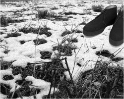 SANDERS（サンダース） スエード チャッカブーツ